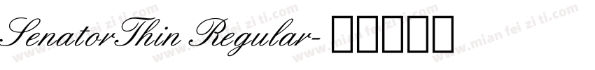 SenatorThin Regular字体转换
